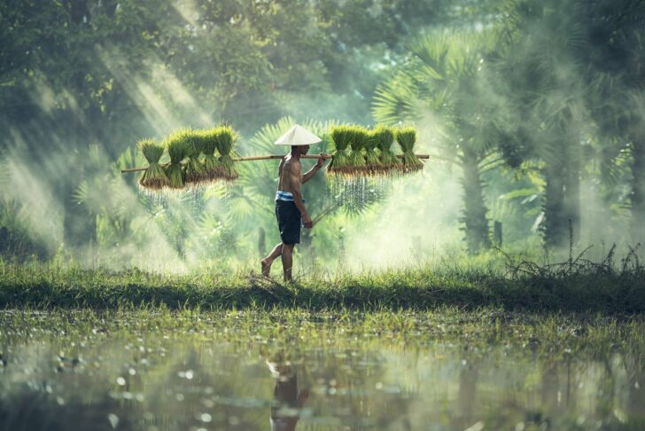คนไทยส่วนใหญ่ทำอาชีพอะไร