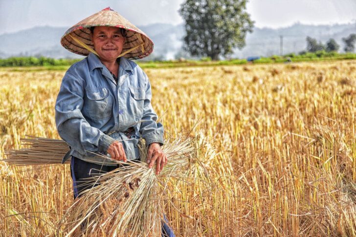 ไทย ส่งออก และนำเข้าสินค้า อะไรมากที่สุด
